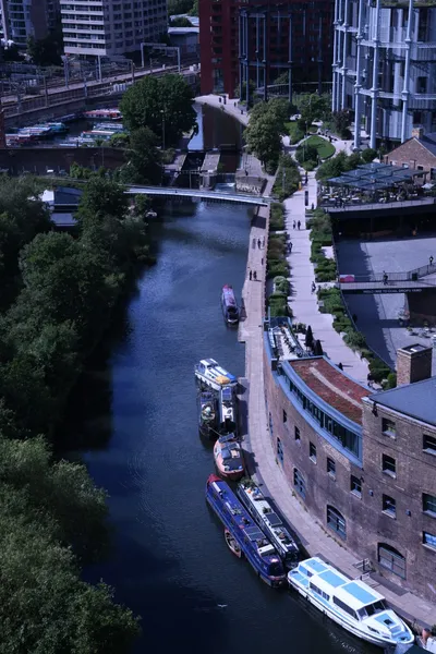 DSC_1686 (Large).JPG